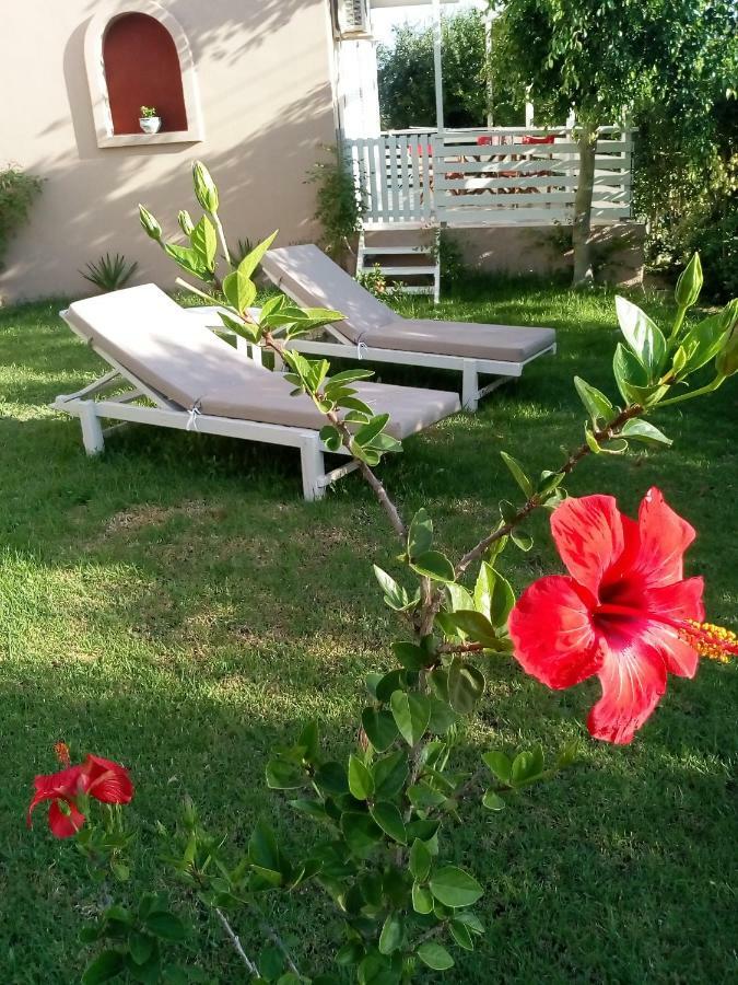 Vasiliki Appartement